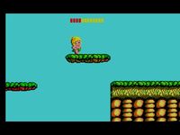 Wonder Boy sur Sega Master System